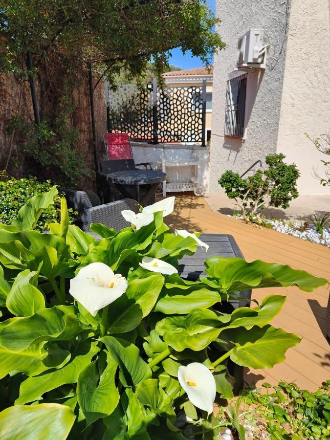 Petite Etoile De Mer - Studio Hyper Equipe A 150M D'Une Plage De Sable Fin Grande Terrasse Presqu'Ile De Charme سانت-ماندرييه-سور-مير المظهر الخارجي الصورة